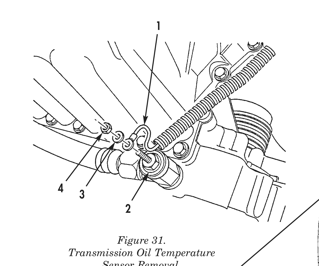 Figure 31.